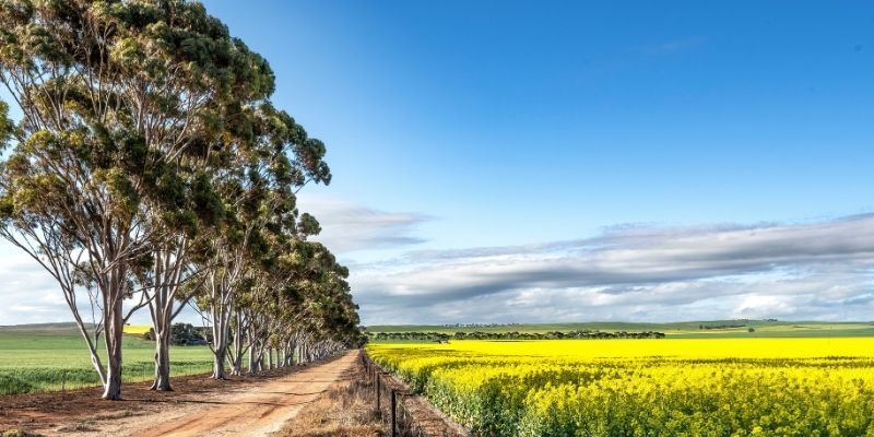 Key ESG Priorities for Mid-Sized Businesses in 2026