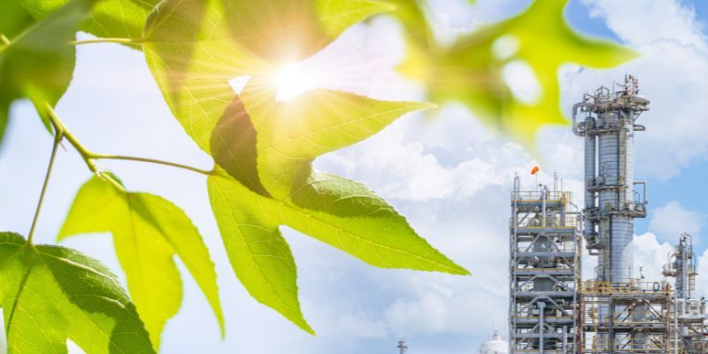 Effective Board Oversight of ESG and Greenwashing Risk