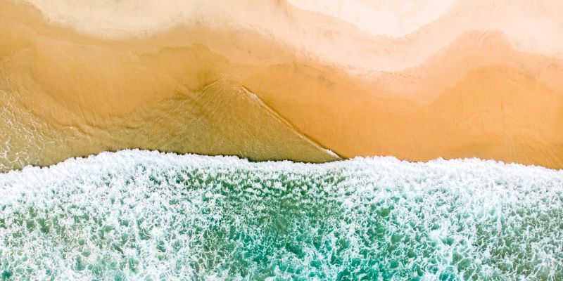 What Boards Should Challenge in Climate Transition Plans